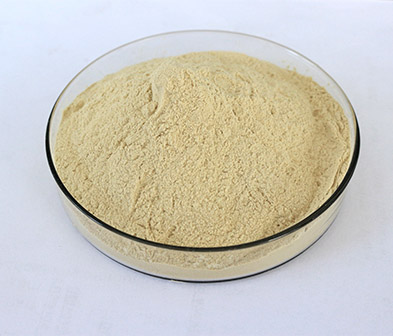 Fine Mesh Sodium Alginate